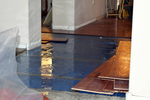 Professional Water Damage Restoration technician working in George, IA